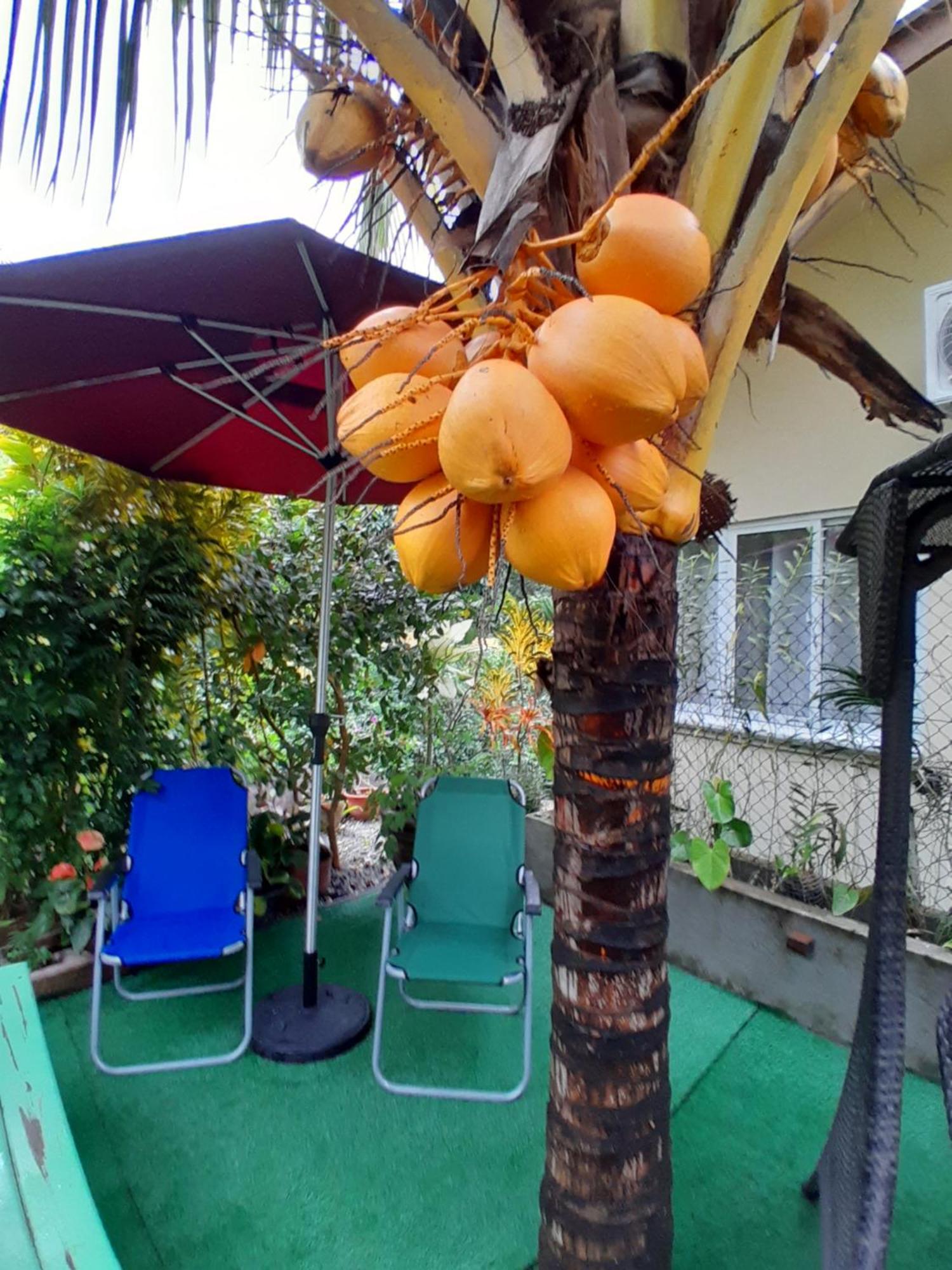 Milles Montagnes Residence Anse Royale Ngoại thất bức ảnh